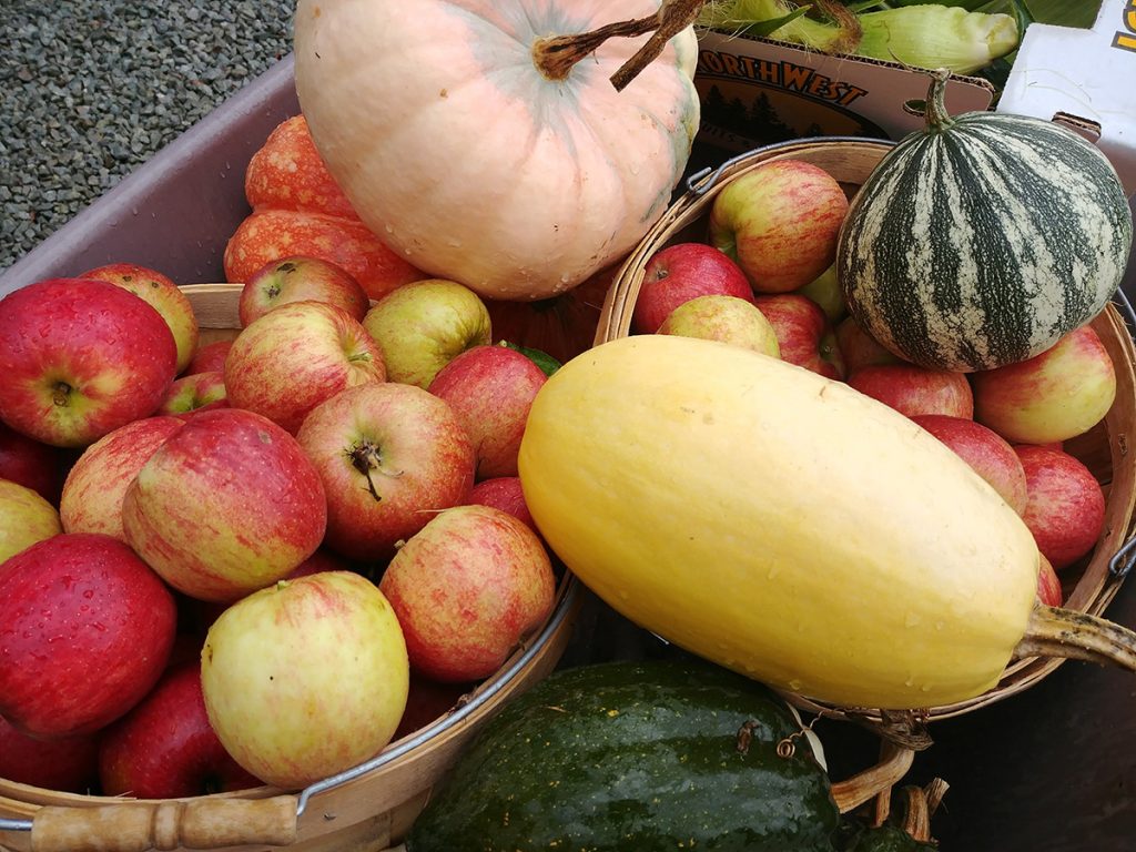 Apples and gourds